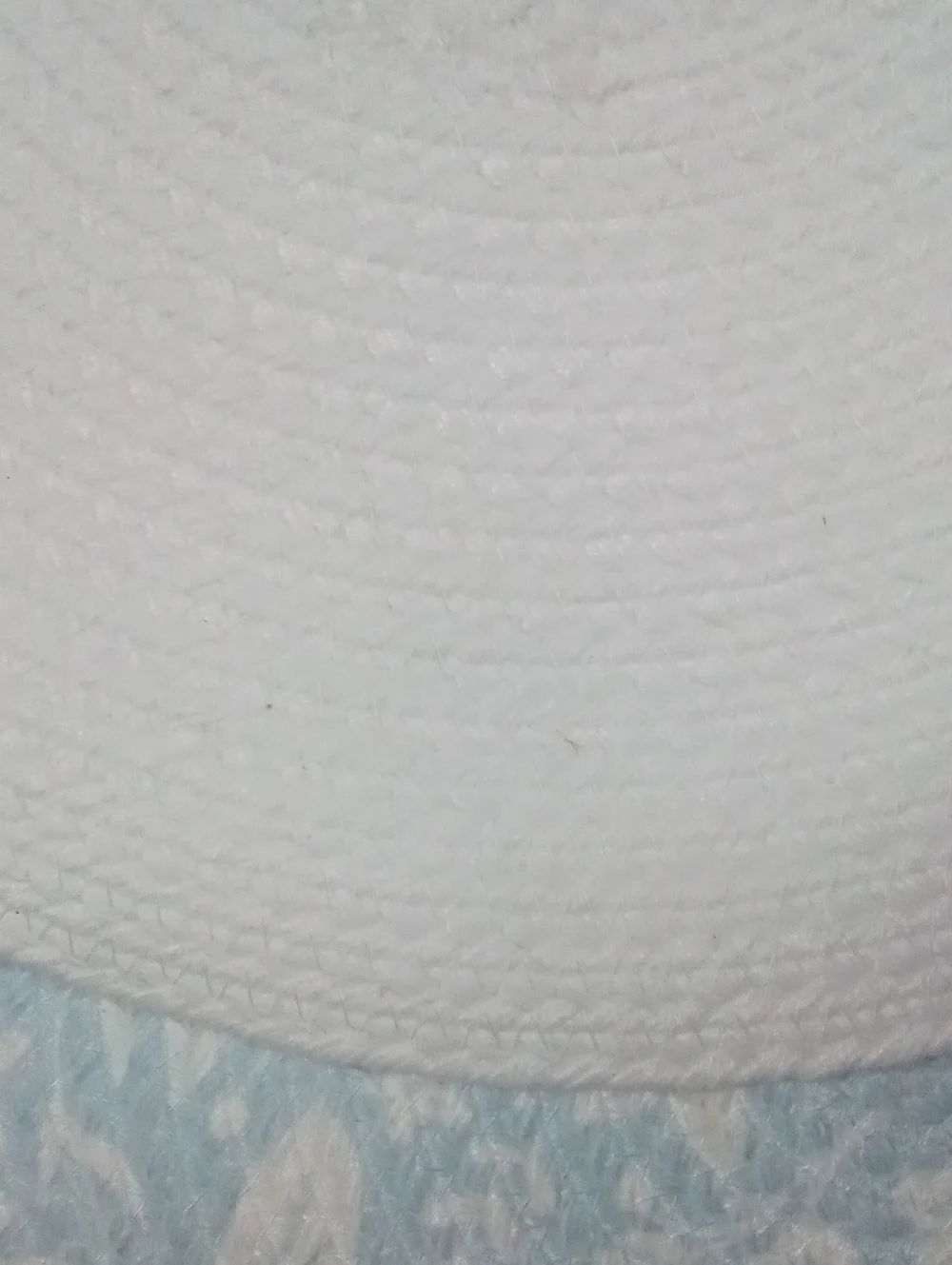 Pastel Blue Floral Round Placemats Set of 2 NWT $19.98 Celebrate Together